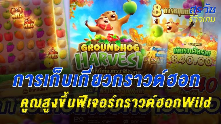 Groundhog Harvest การเก็บเกี่ยวกราวด์ฮอก