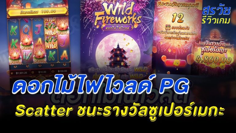 ดอกไม้ไฟไวลด์ Wild Fireworks