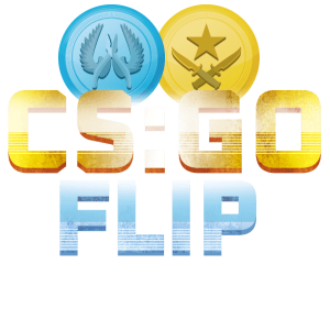 cs go Coin Flip